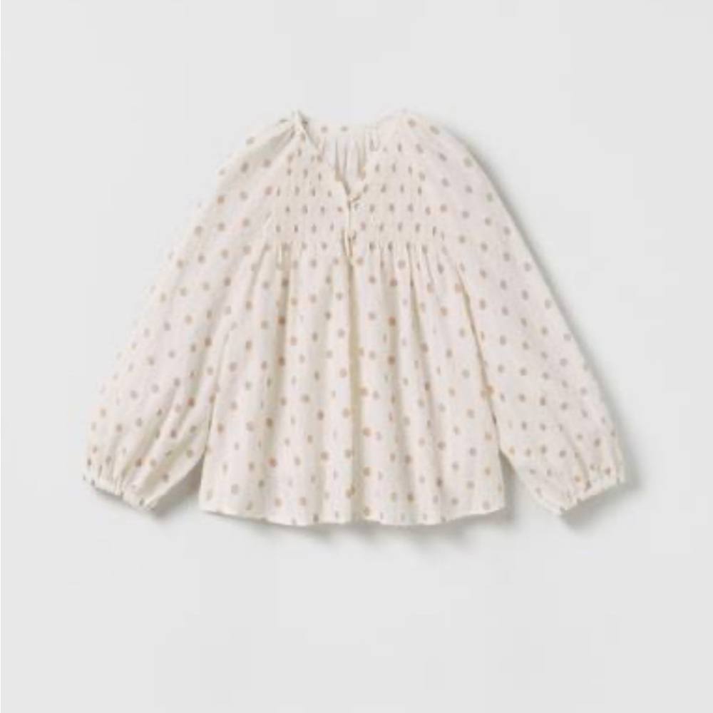 Zara Dotted Mesh Top